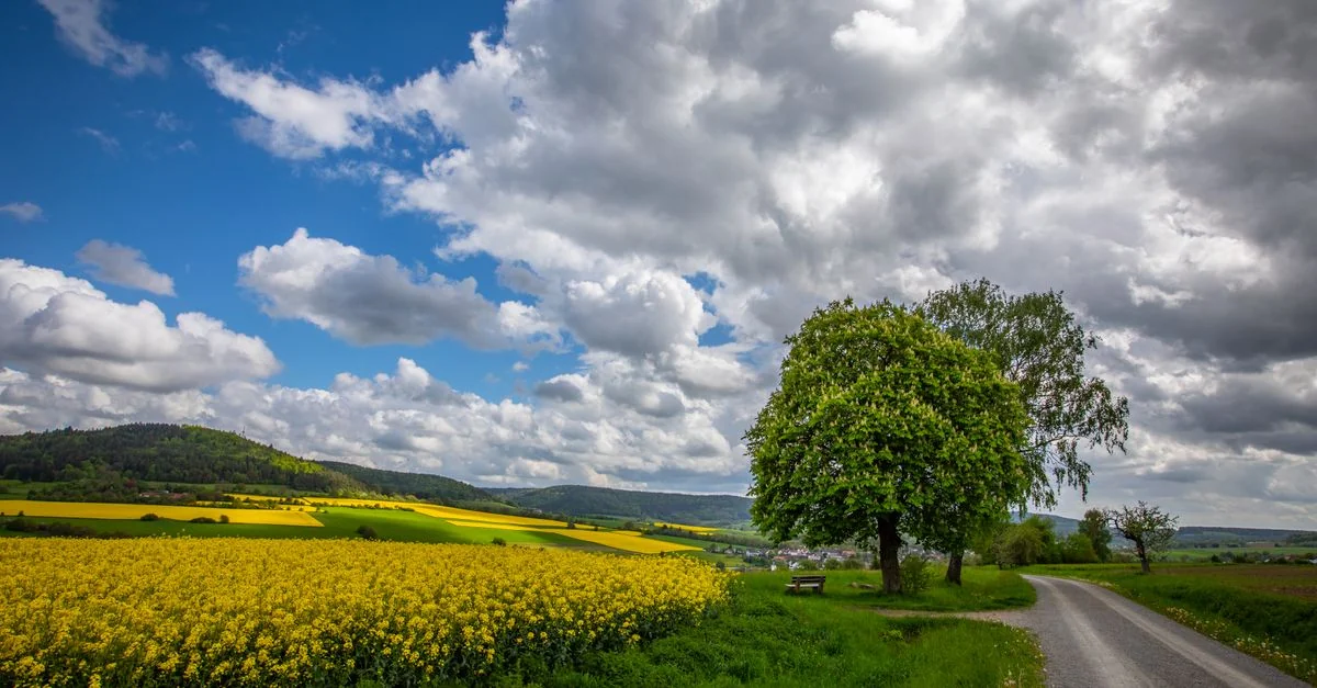 Navigating Stuttgart: A Michelin-Star Dining Guide for Serious Eaters