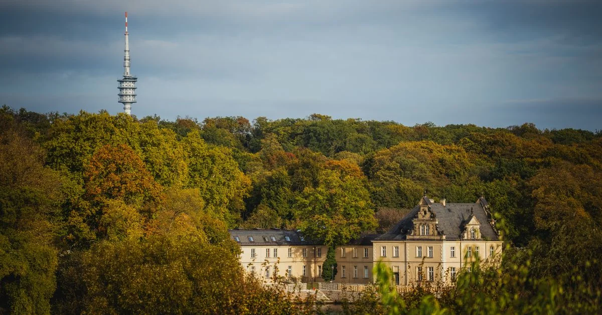 Navigating Stuttgart: A Michelin-Star Dining Guide for Serious Eaters