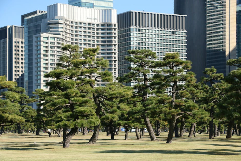 michelin-tokyo-japan