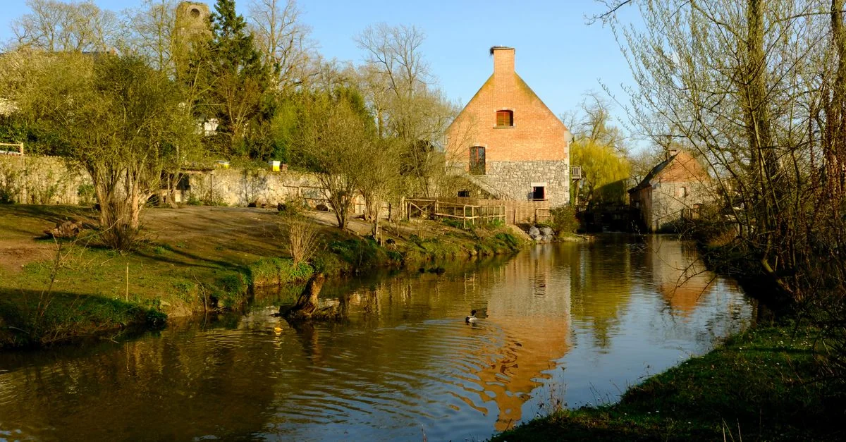 A Food Lover&rsquo;s Guide to Uccle: Where Michelin Meets the Forest