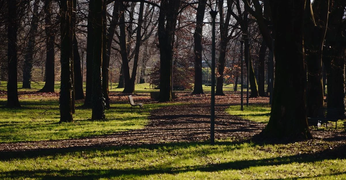 Milan Sightseeing Guide: City Tours and Sightseeing Itineraries