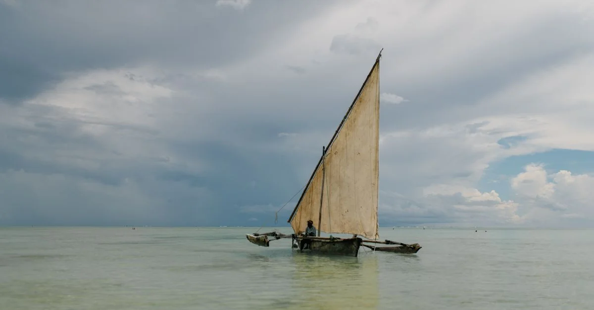 Best Cruise Tours in Mjini