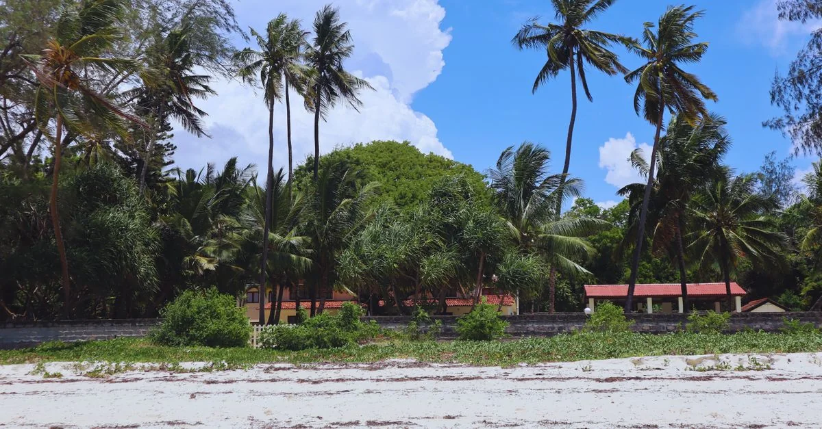 Nature and Wildlife Tours in Mombasa: Discover Kenya