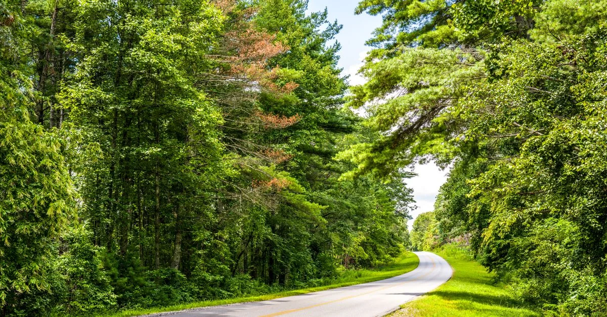 The Ultimate Monroe County Walking Tours Guide for Foot Travelers