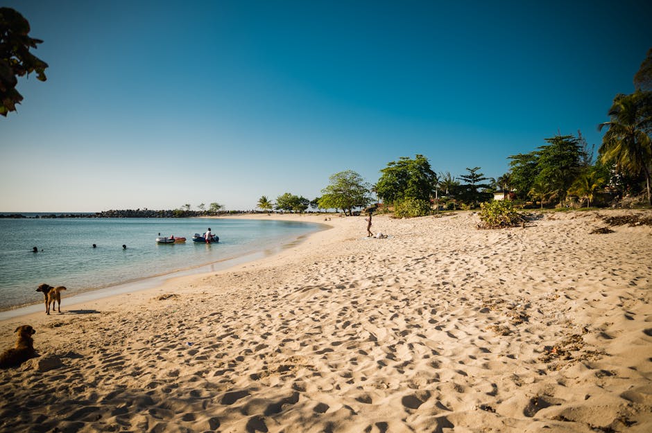 montego-bay_cruise-port-guide