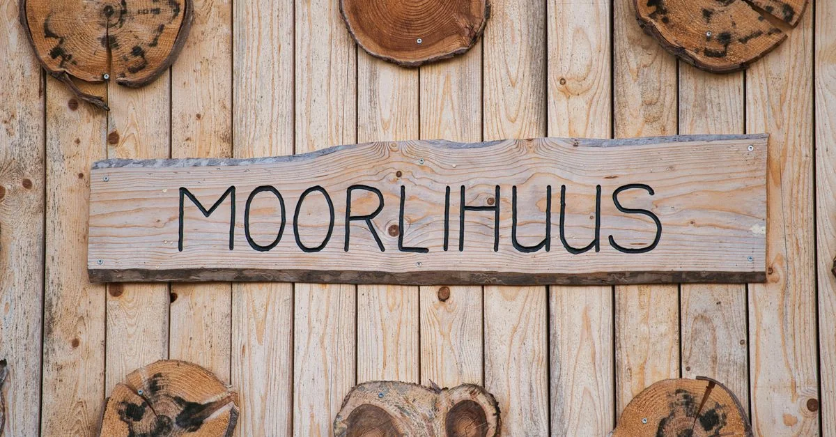 Navigating the Journey from Morrum to Copenhagen: A Complete Transit Manual
