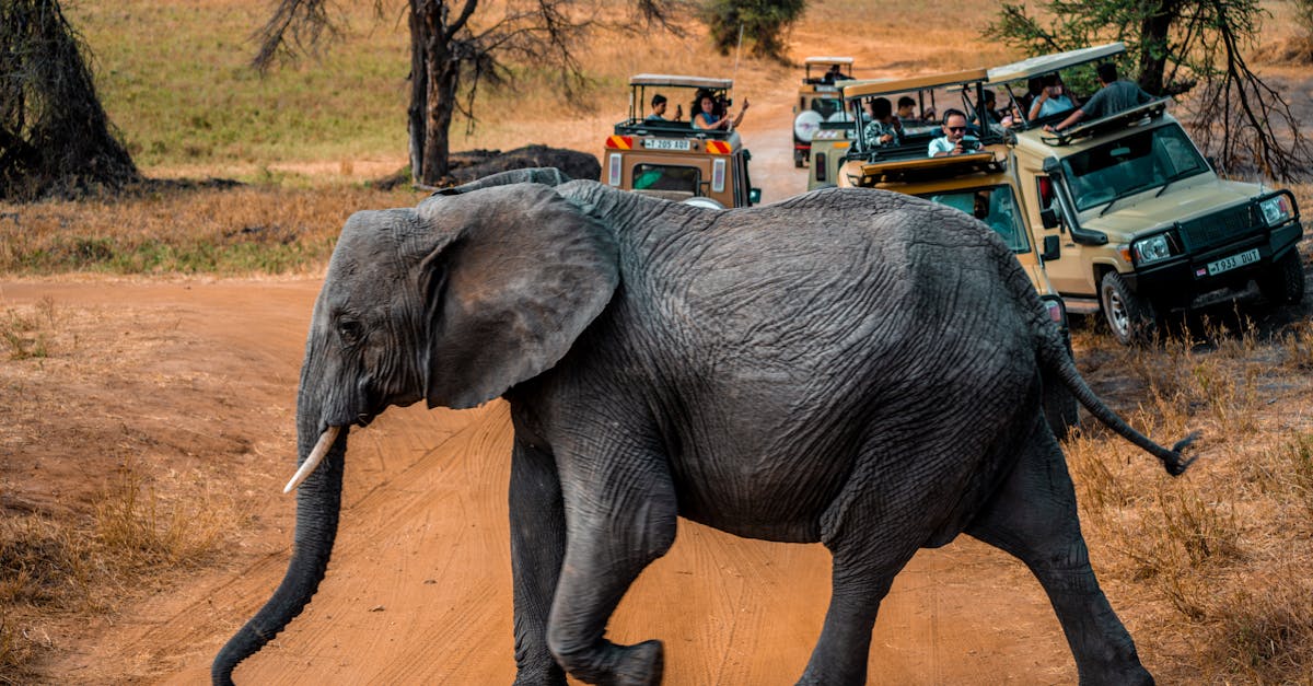 moshi-multiday-tours