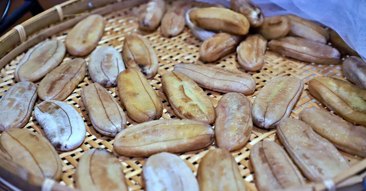 Navigating the Michelin Landscape of Muang Through Regional Curries and Crispy Taro
