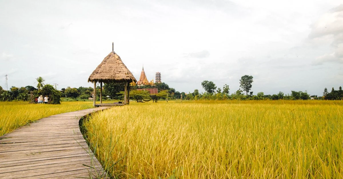 Muang Multi-Day Tours Guide for Group Travelers