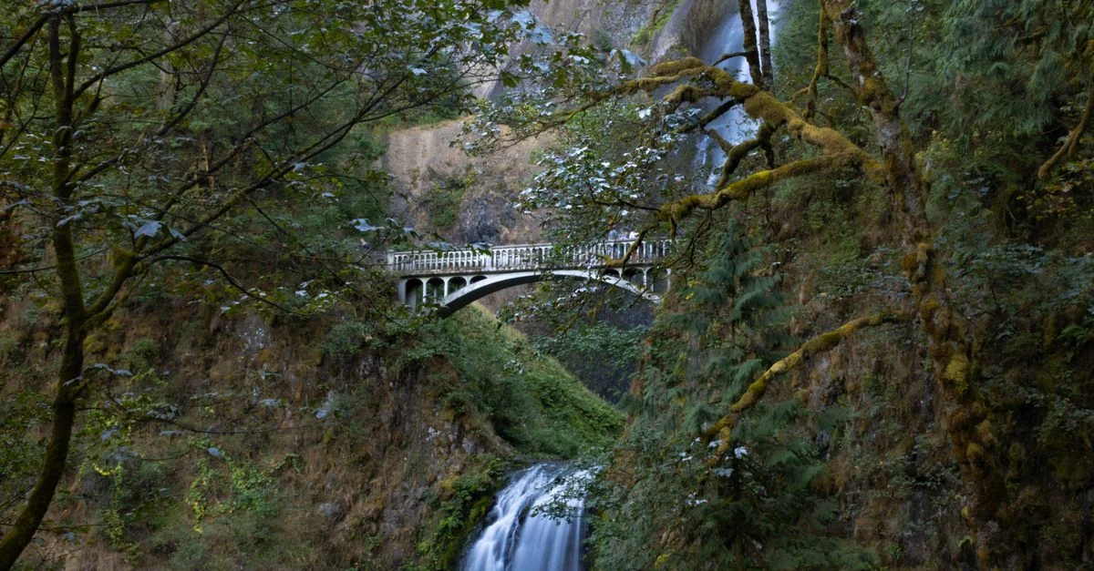 Multnomah County Art and Culture Field Guide