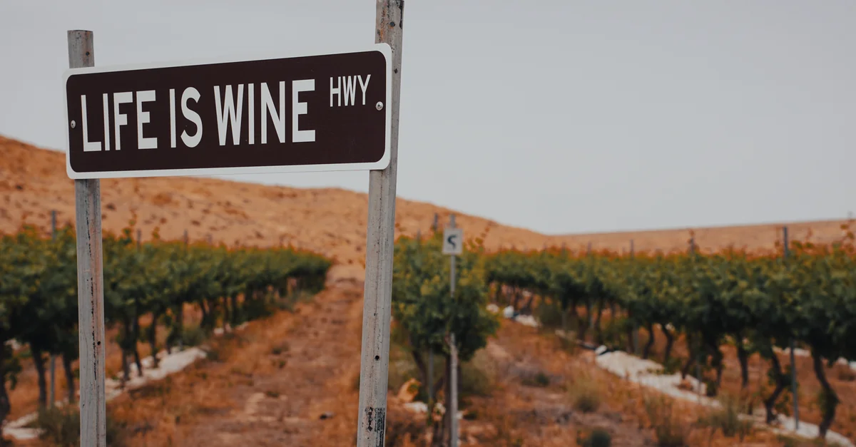 Napa County Food Tours Guide: Sip, Savor, and Explore the Valley