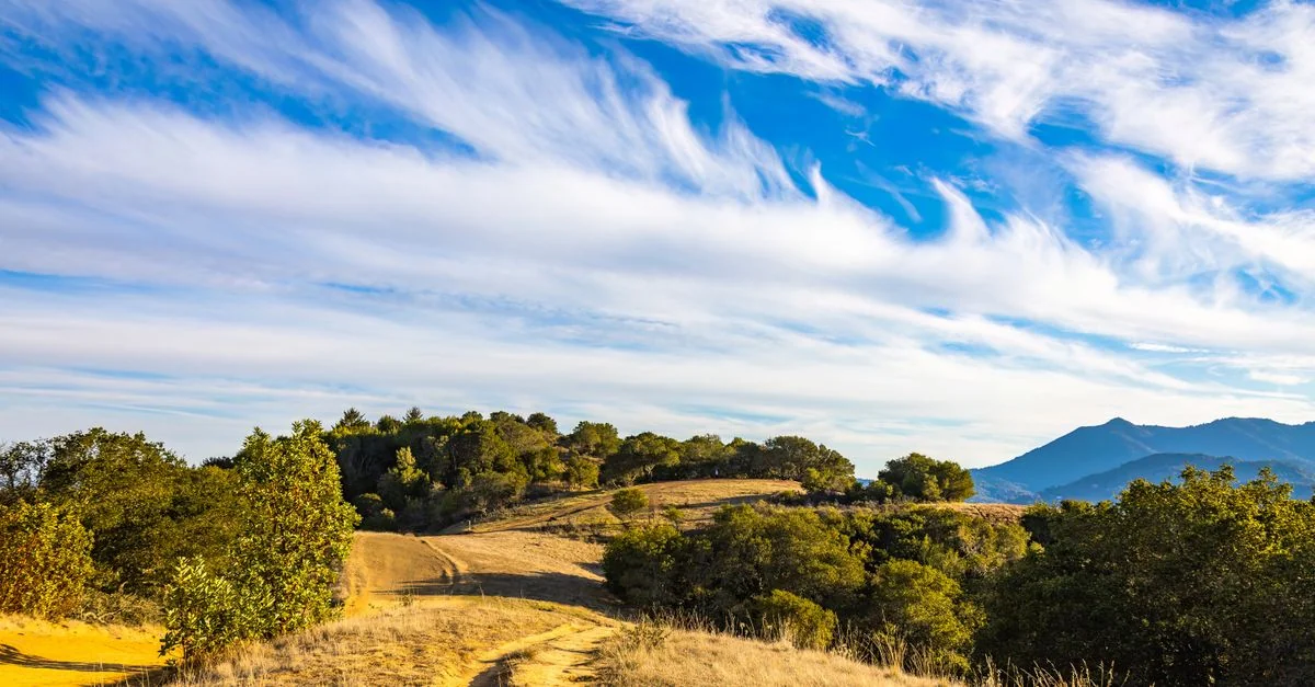Napa County Food Tours Guide: Sip, Savor, and Explore the Valley