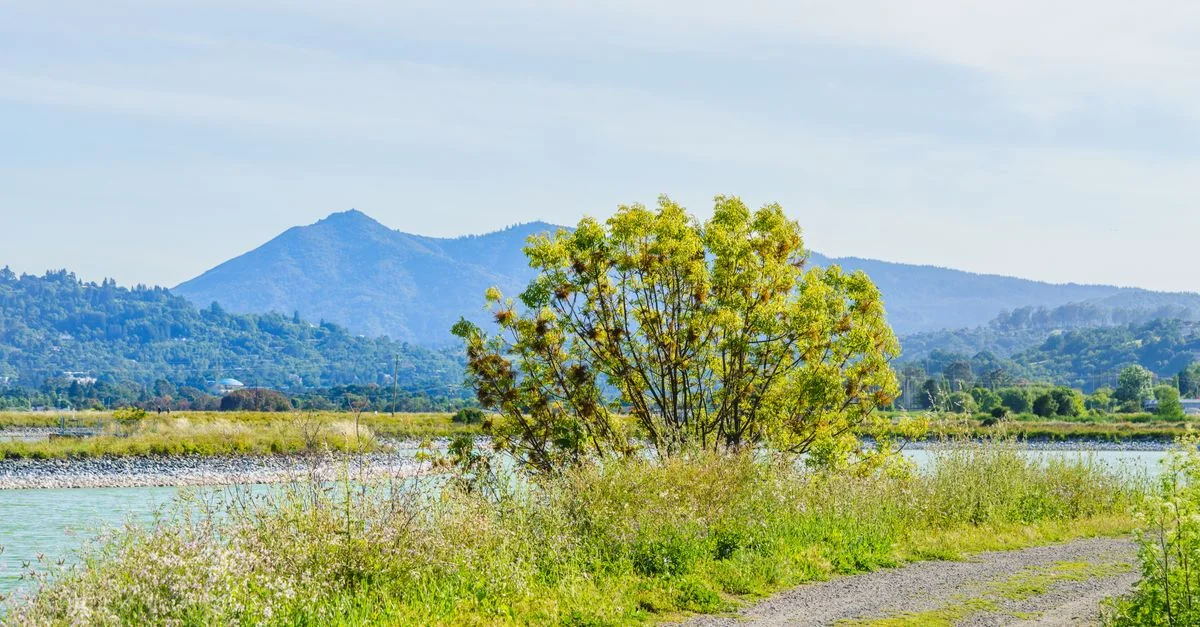 Napa County Food Tours Guide: Sip, Savor, and Explore the Valley