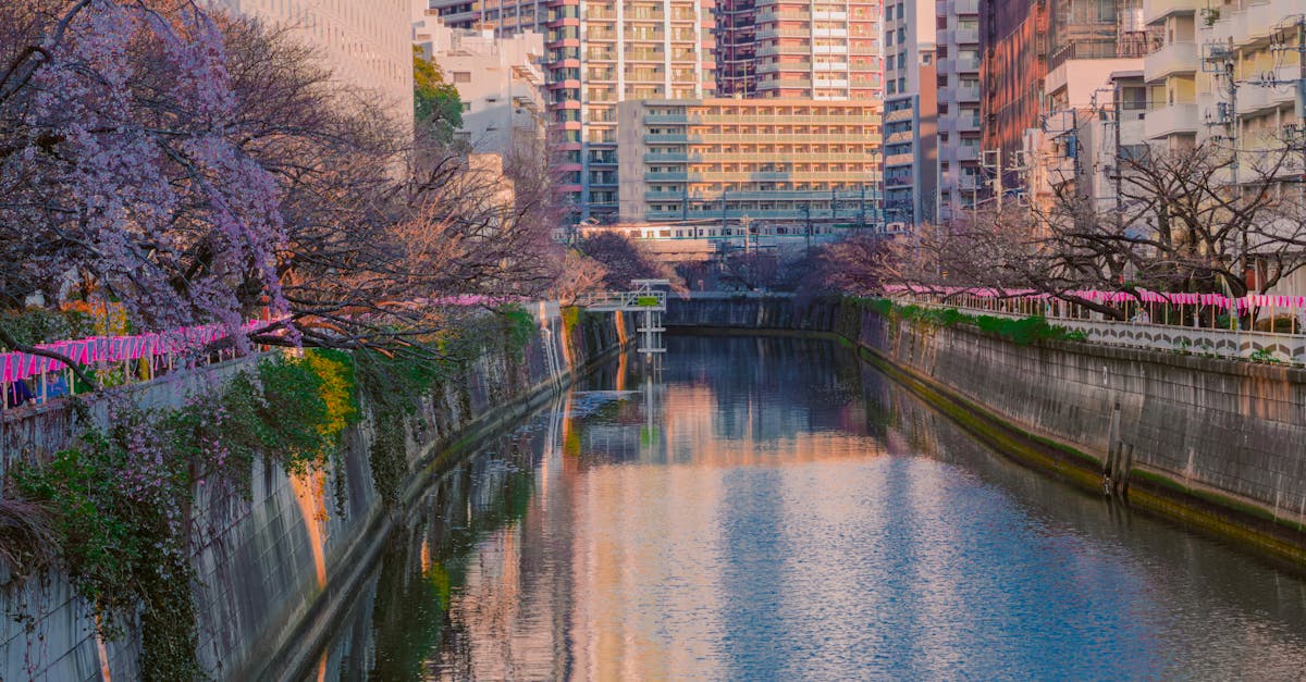 narita-international-airport-nrt-guide