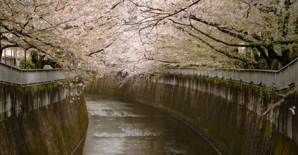 narita-international-airport-nrt-guide