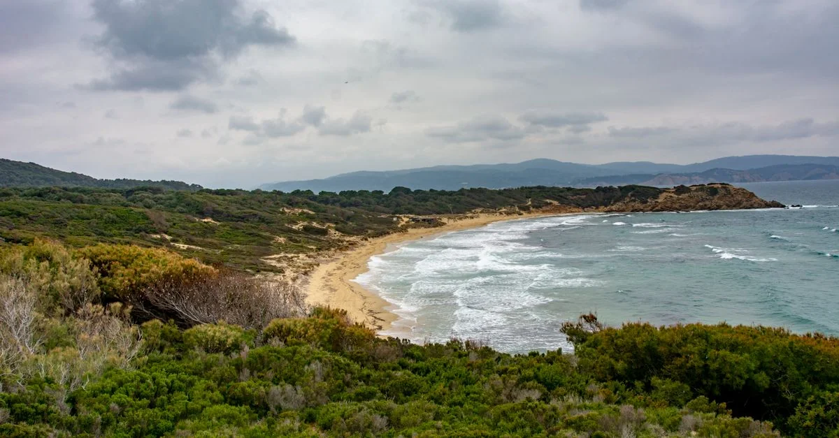 Nea Smirni Food Tours Guide: Best Eating Experiences in Greece