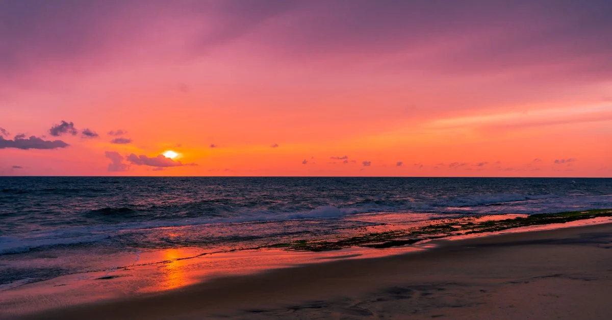 The Ultimate Food Lover&rsquo;s Guide to Negombo: Seafood, Spice, and Coastal Flavor