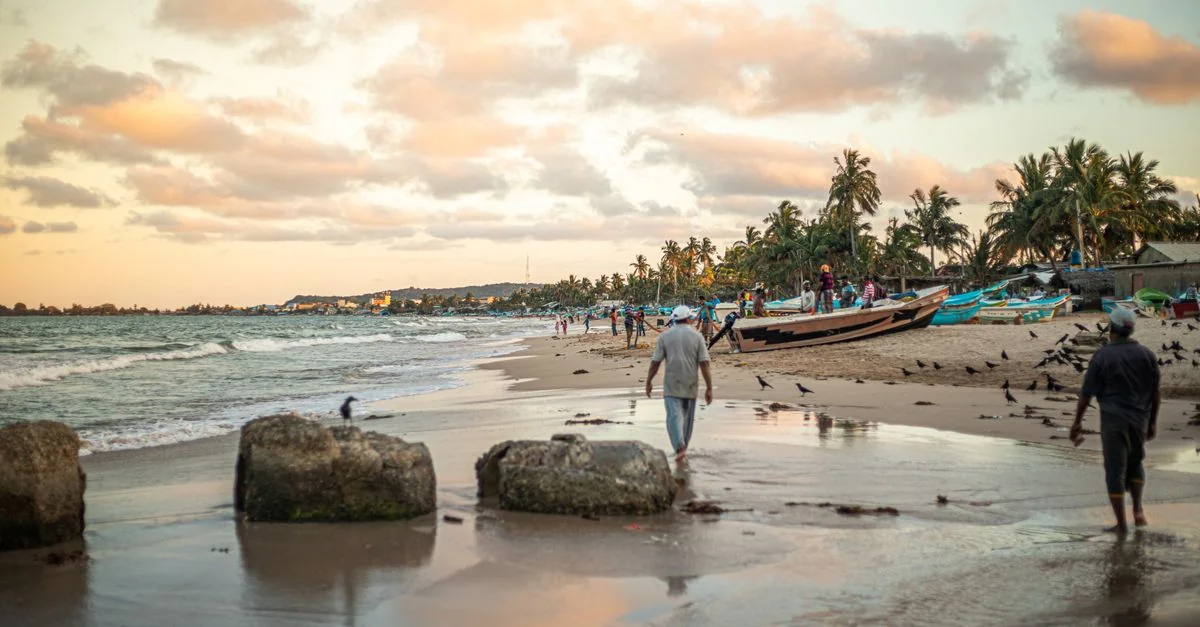 The Ultimate Food Lover&rsquo;s Guide to Negombo: Seafood, Spice, and Coastal Flavor