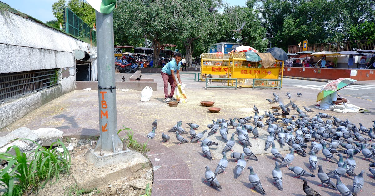 new-delhi-city-tours