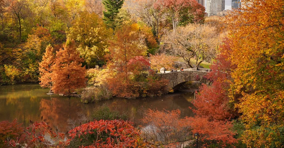Best Cruise Tours in New York County