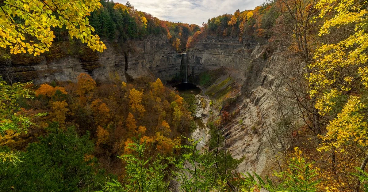 Best Cruise Tours in New York County