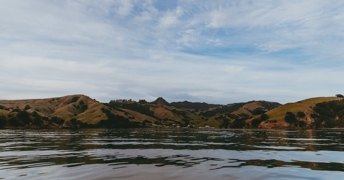 new-zealand-visa-free