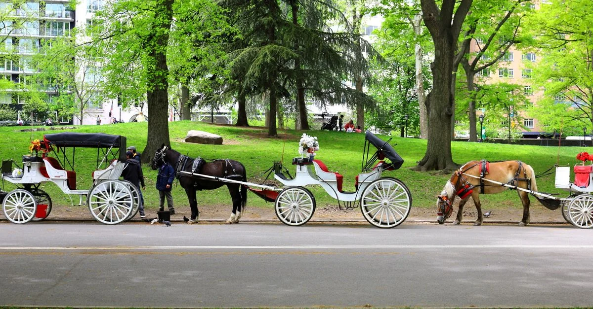 Newmarket to London Travel Route Guide