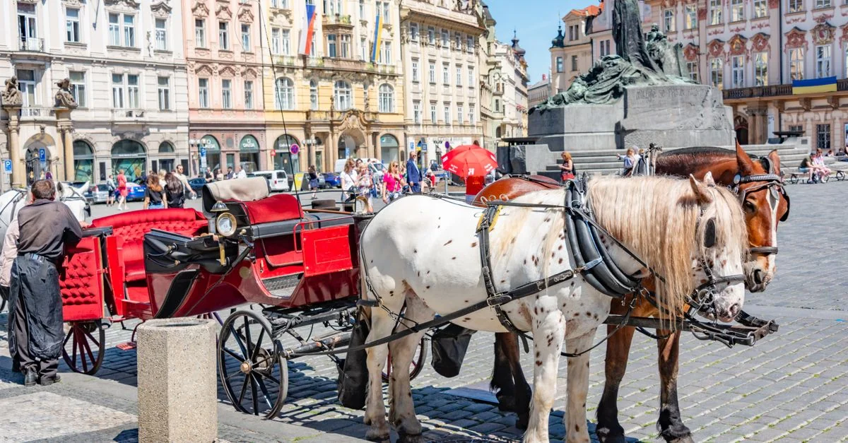 Newmarket to London Travel Route Guide