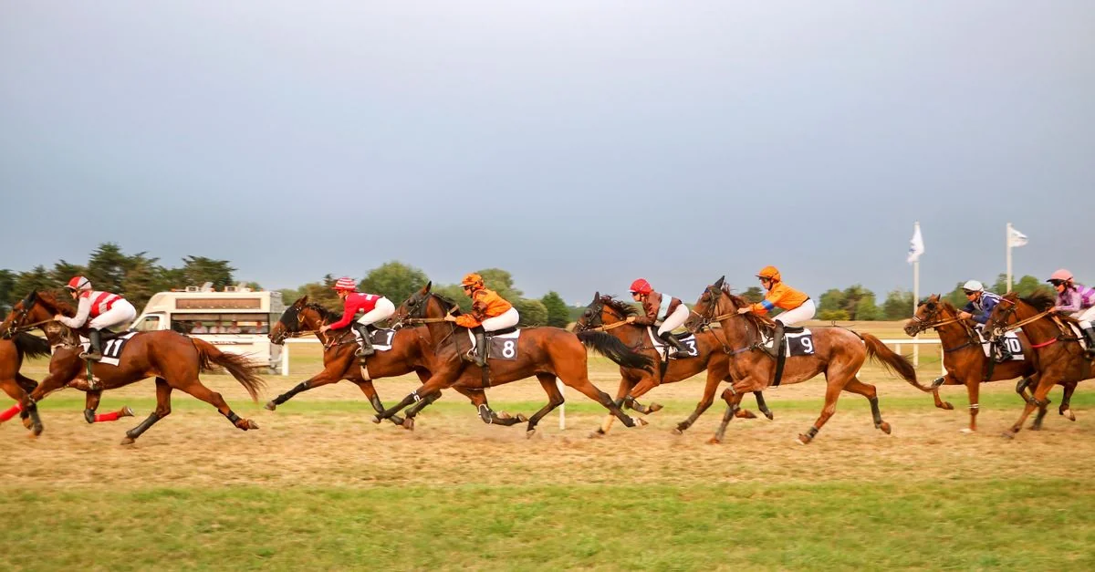 Newmarket to London Travel Route Guide