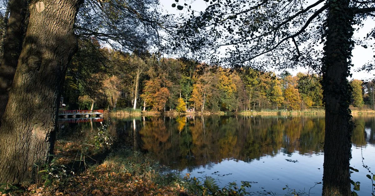 Unlock the Mysteries of Niedersachsen: A Guide to Escape Rooms and Puzzle Experiences