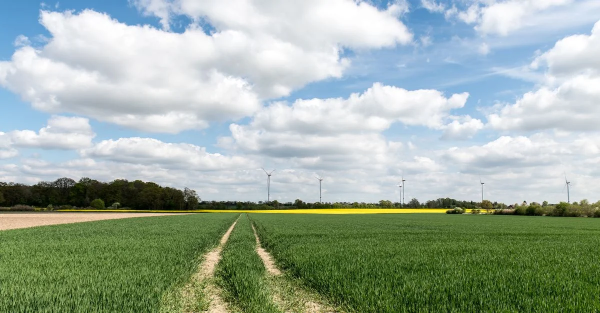 Unlock the Mysteries of Niedersachsen: A Guide to Escape Rooms and Puzzle Experiences