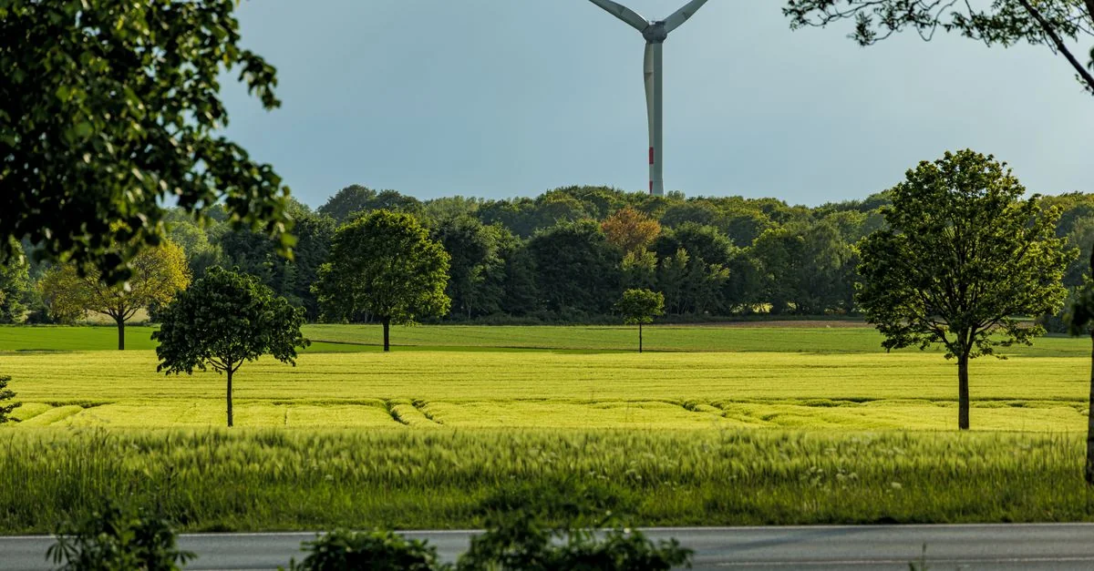 Exploring Niedersachsen on Foot: The Best Walking Tours for History Buffs