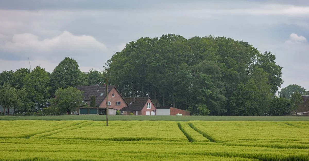 Exploring Niedersachsen on Foot: The Best Walking Tours for History Buffs