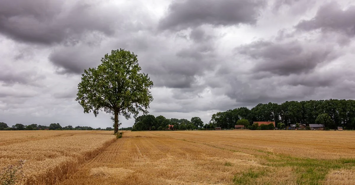 Exploring Niedersachsen on Foot: The Best Walking Tours for History Buffs