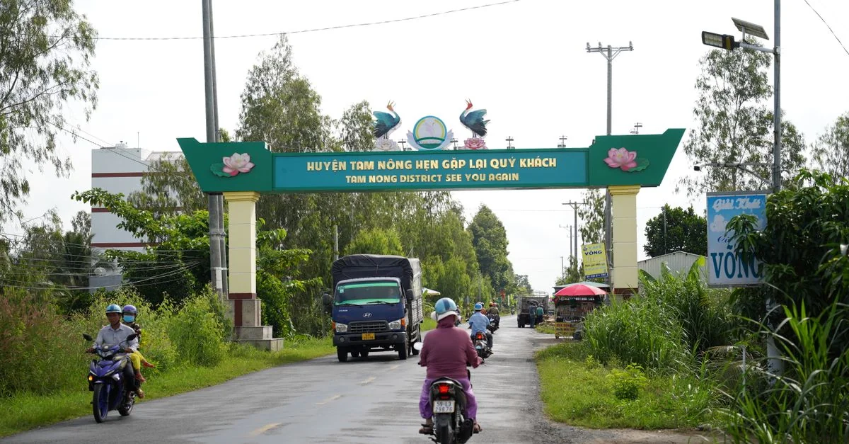 The Ultimate Food Lover&rsquo;s Guide to Nong Prue: Flavors, Feasts, and Lounge Stops