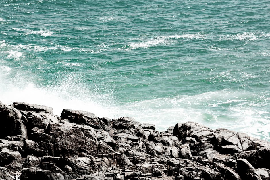 noosa-sunshine-coast-travel-guide