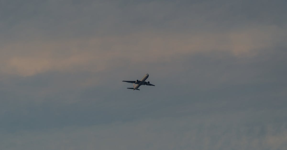 norse-atlantic-airways-airline-review