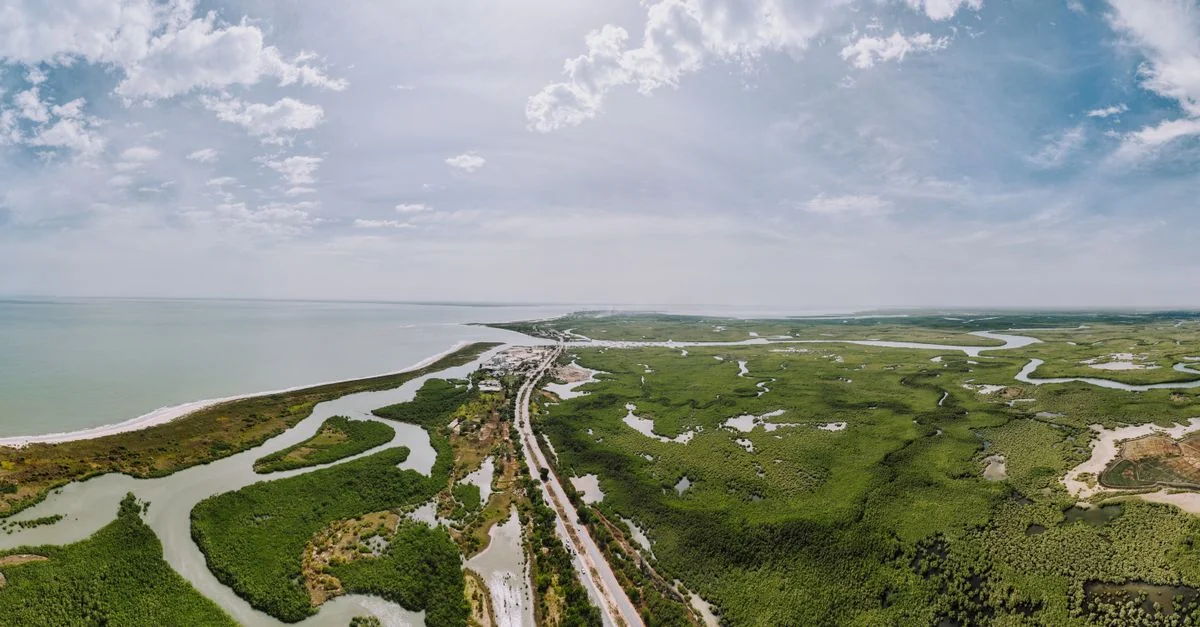 Exploring Nueces County on Foot: The Best Walking Tours