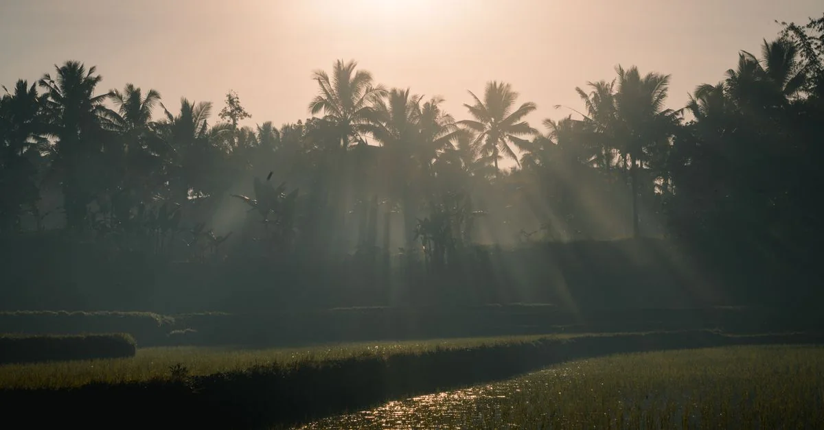 Exploring Bali Beyond Nusa Dua: The Best Day Trips by Budget