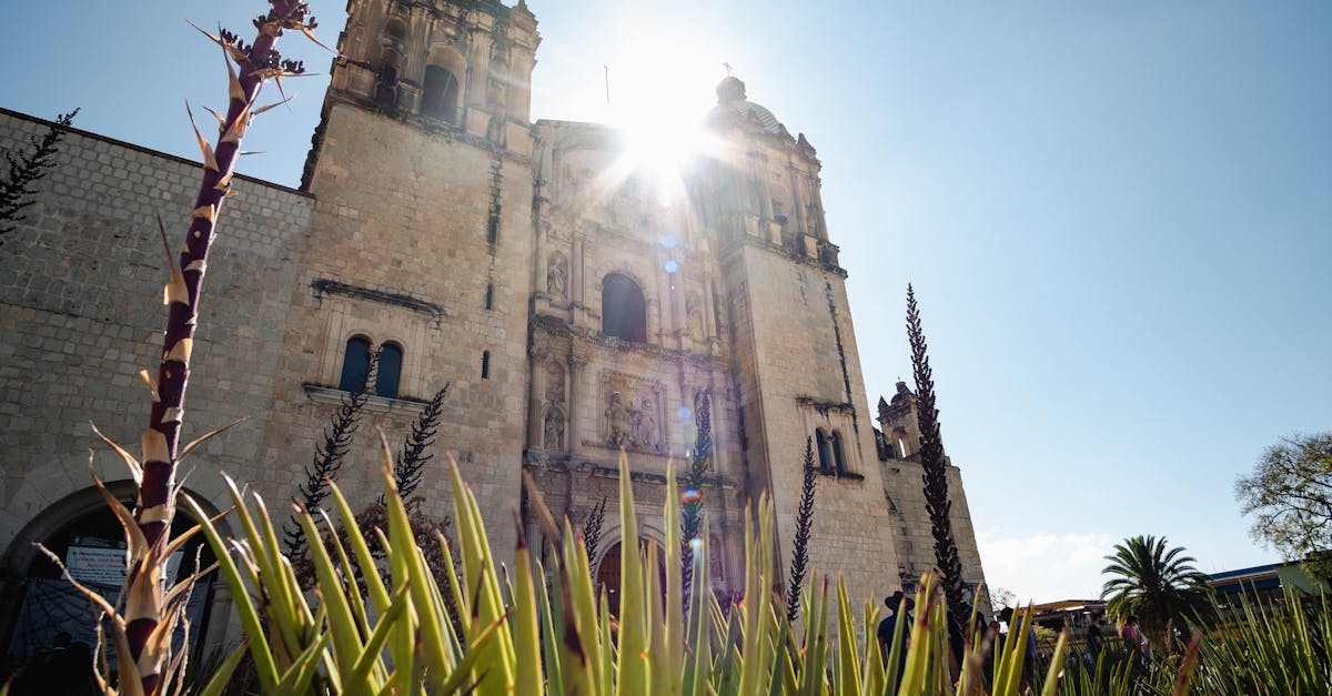 oaxaca-food-tours