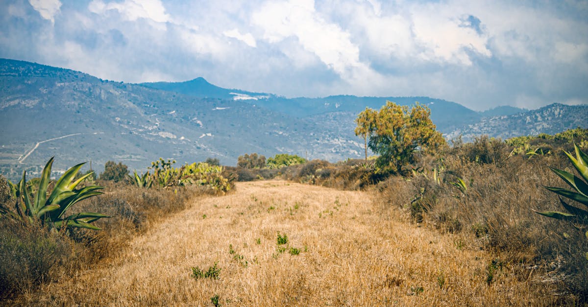 oaxaca-hiking-tours
