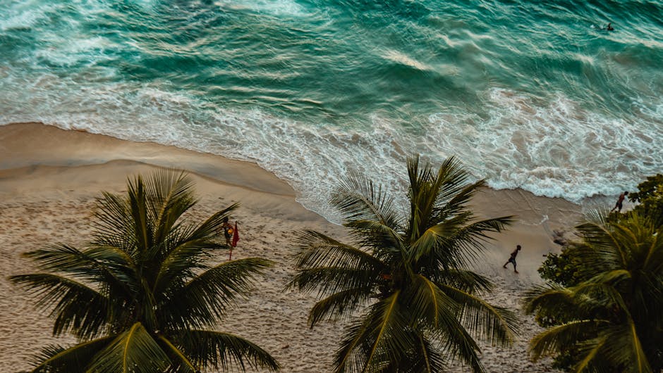 ocho-rios-travel-guide
