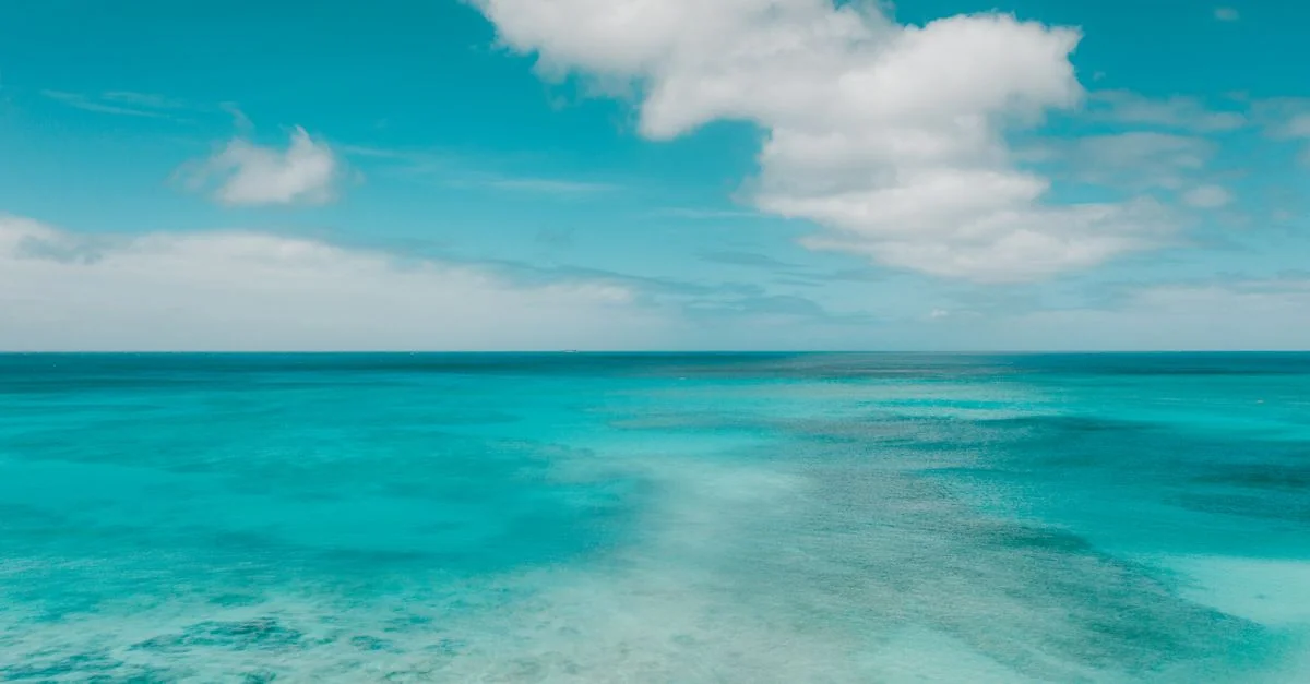 Okinawa Day Trips: Castles, Coasts & Mountain Roads