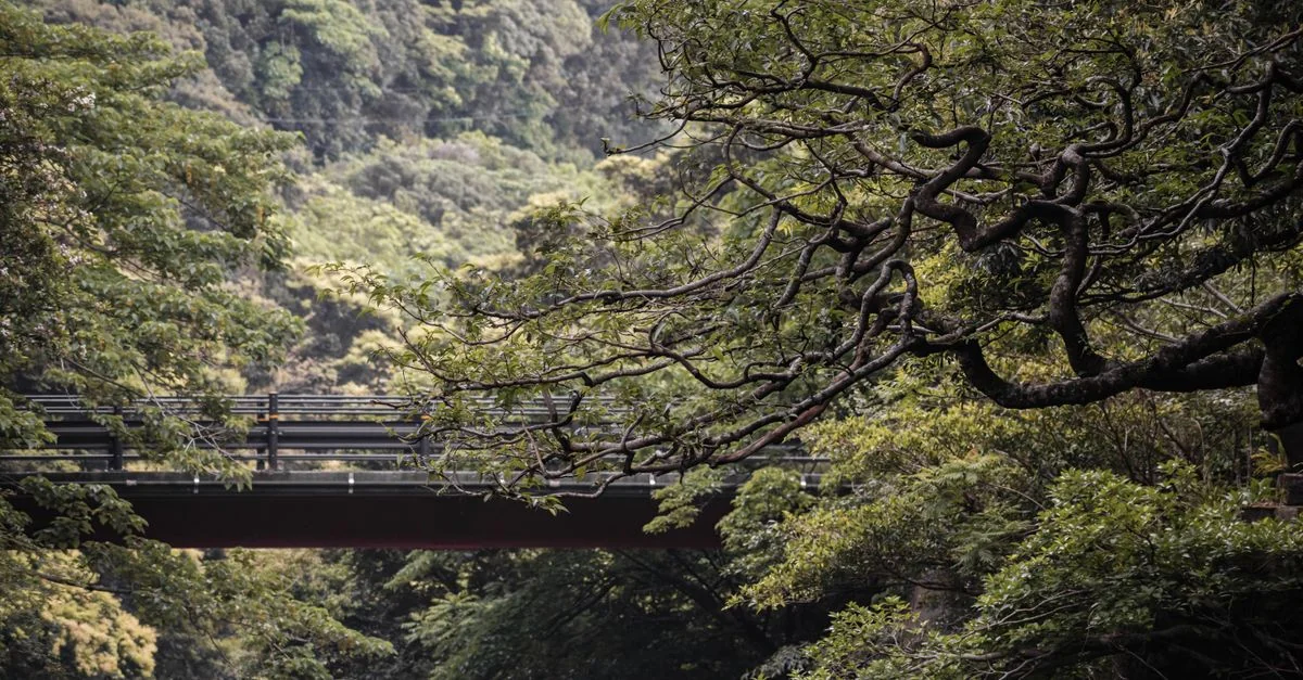 Okinawa Food Tours Guide: Eat Your Way Through Japan&rsquo;s Southern Islands
