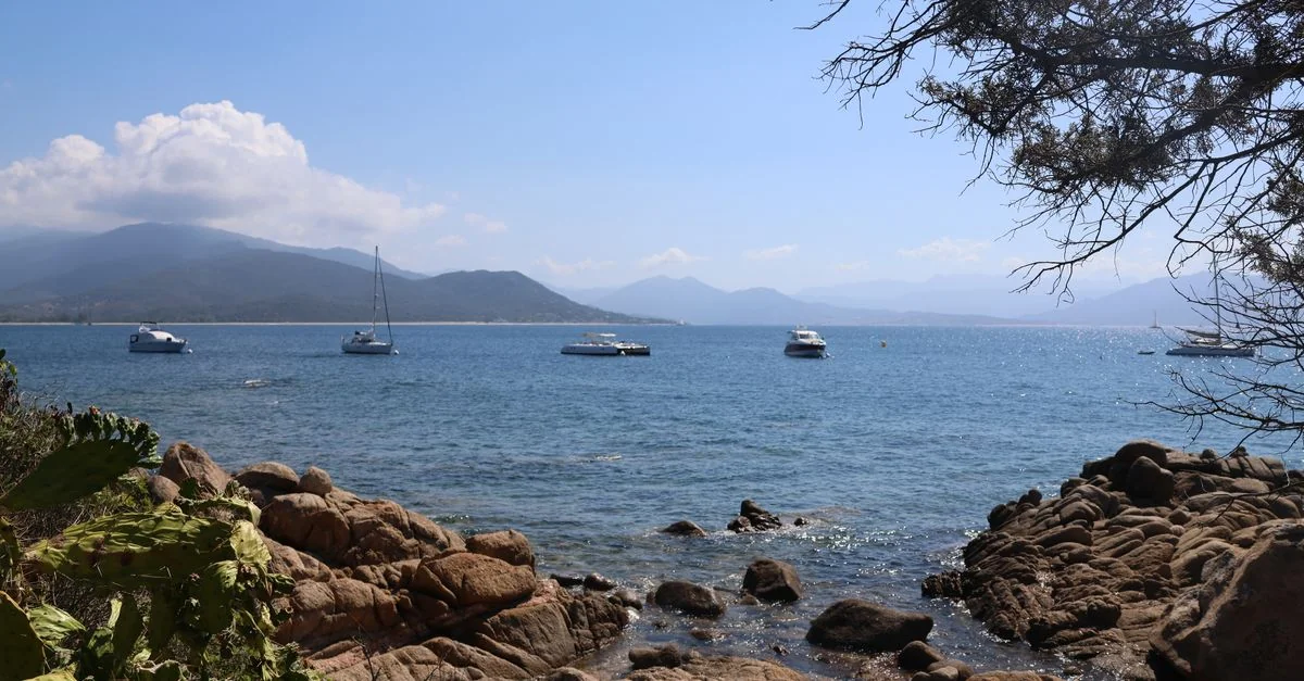 Crossing the Tyrrhenian: A Guide to the Olbia to Livorno Ferry