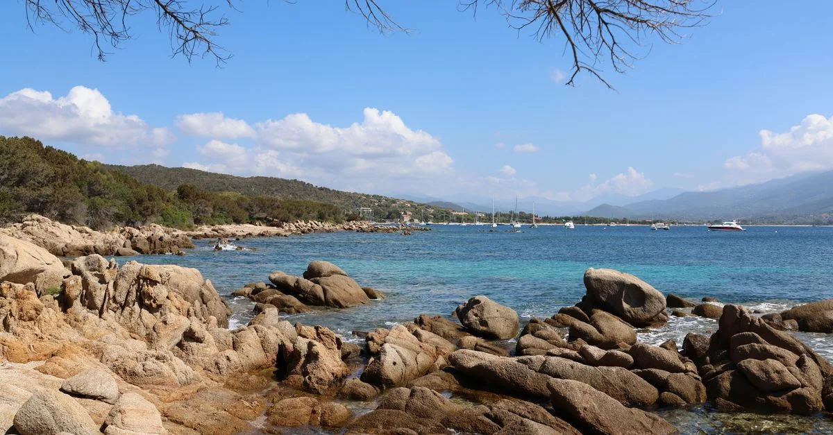 Crossing the Tyrrhenian: A Guide to the Olbia to Livorno Ferry