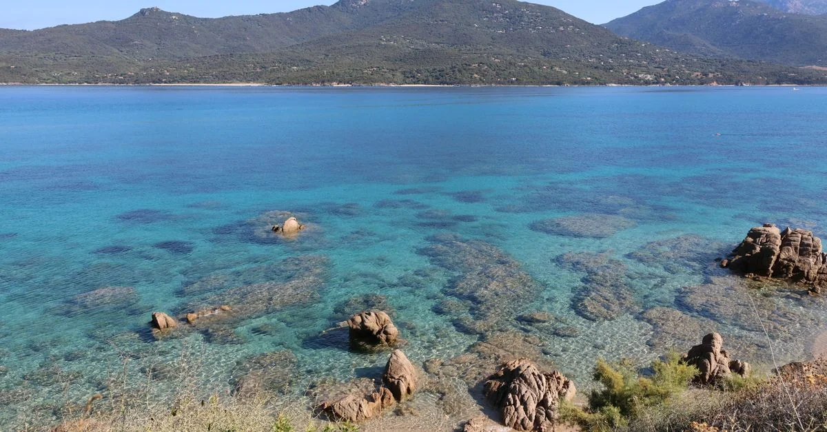 Crossing the Tyrrhenian: A Guide to the Olbia to Livorno Ferry