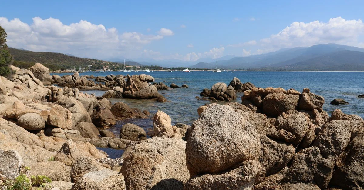 Crossing the Tyrrhenian: A Guide to the Olbia to Livorno Ferry