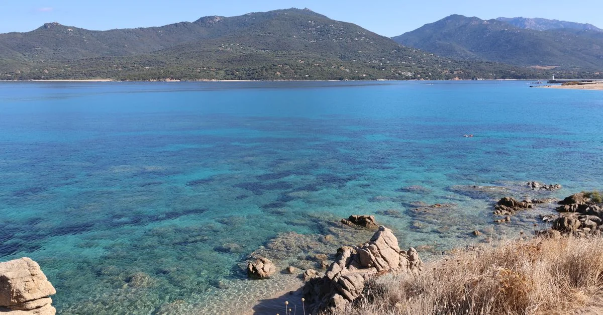 Crossing the Tyrrhenian: A Guide to the Olbia to Livorno Ferry