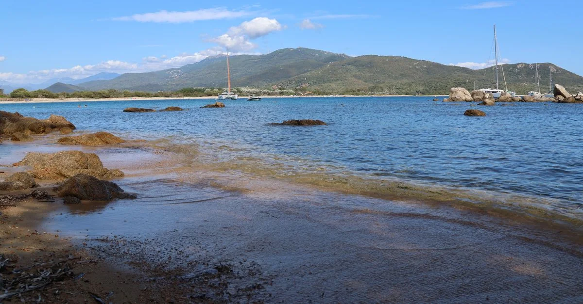 Sailing from Sardinia to Tuscany: The Olbia to Pisa Ferry Guide